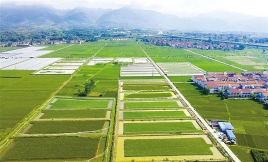 我國將穩(wěn)步推進(jìn)第二輪土地延包整省試點